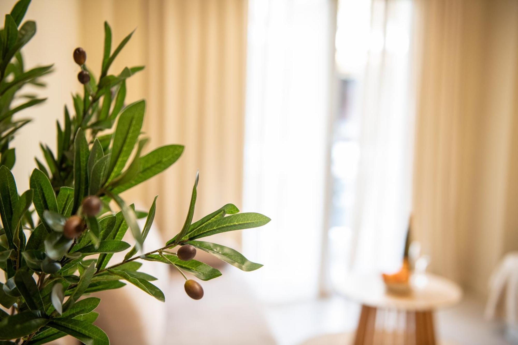 Avm Suites - Athens Thissio Center Экстерьер фото